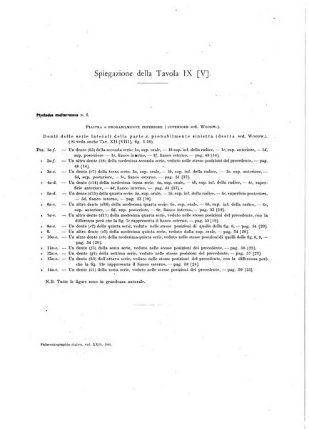 Palaeontographia Italica raccolta di monografie paleontologiche fondata da Mario Canavari nell'anno 1895