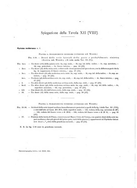 Palaeontographia Italica raccolta di monografie paleontologiche fondata da Mario Canavari nell'anno 1895