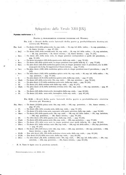 Palaeontographia Italica raccolta di monografie paleontologiche fondata da Mario Canavari nell'anno 1895