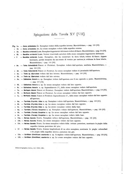 Palaeontographia Italica raccolta di monografie paleontologiche fondata da Mario Canavari nell'anno 1895