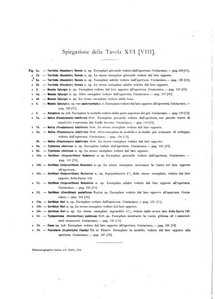 Palaeontographia Italica raccolta di monografie paleontologiche fondata da Mario Canavari nell'anno 1895