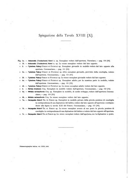 Palaeontographia Italica raccolta di monografie paleontologiche fondata da Mario Canavari nell'anno 1895