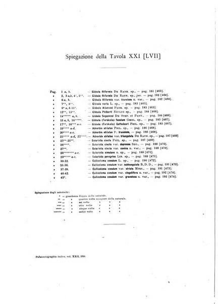 Palaeontographia Italica raccolta di monografie paleontologiche fondata da Mario Canavari nell'anno 1895