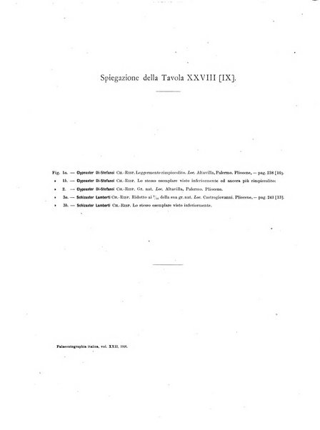 Palaeontographia Italica raccolta di monografie paleontologiche fondata da Mario Canavari nell'anno 1895