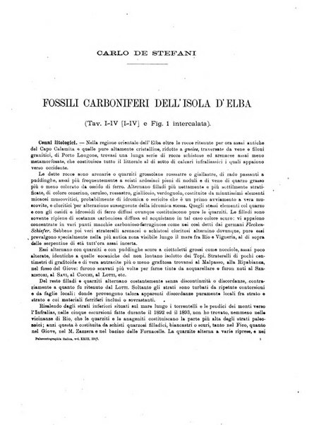 Palaeontographia Italica raccolta di monografie paleontologiche fondata da Mario Canavari nell'anno 1895