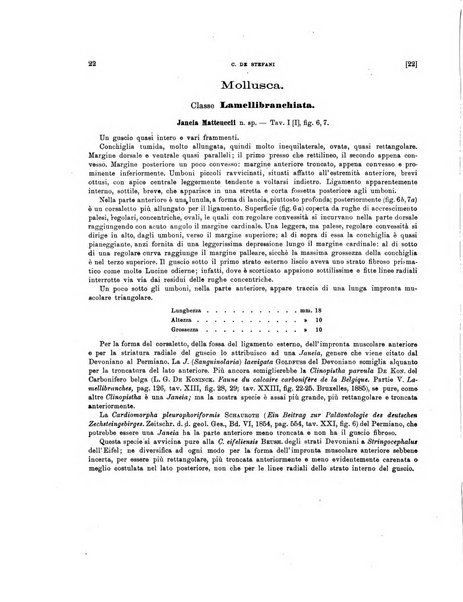 Palaeontographia Italica raccolta di monografie paleontologiche fondata da Mario Canavari nell'anno 1895