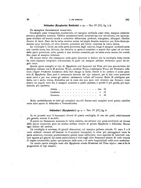 Palaeontographia Italica raccolta di monografie paleontologiche fondata da Mario Canavari nell'anno 1895