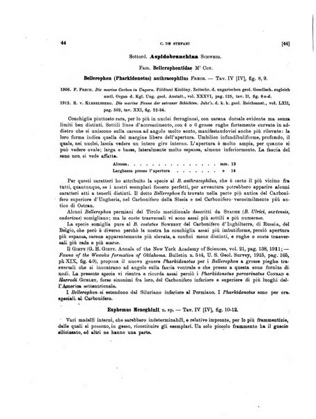 Palaeontographia Italica raccolta di monografie paleontologiche fondata da Mario Canavari nell'anno 1895