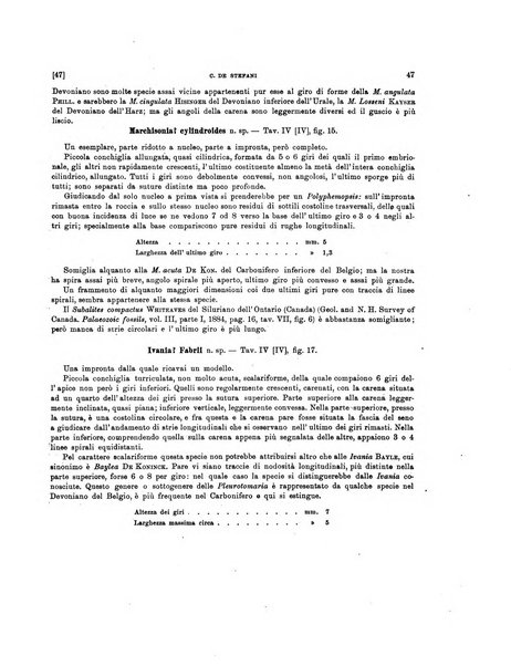 Palaeontographia Italica raccolta di monografie paleontologiche fondata da Mario Canavari nell'anno 1895