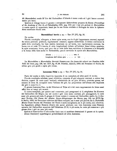 Palaeontographia Italica raccolta di monografie paleontologiche fondata da Mario Canavari nell'anno 1895