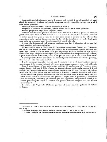 Palaeontographia Italica raccolta di monografie paleontologiche fondata da Mario Canavari nell'anno 1895