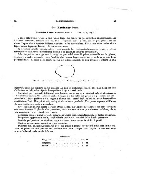 Palaeontographia Italica raccolta di monografie paleontologiche fondata da Mario Canavari nell'anno 1895