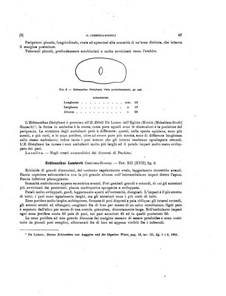 Palaeontographia Italica raccolta di monografie paleontologiche fondata da Mario Canavari nell'anno 1895