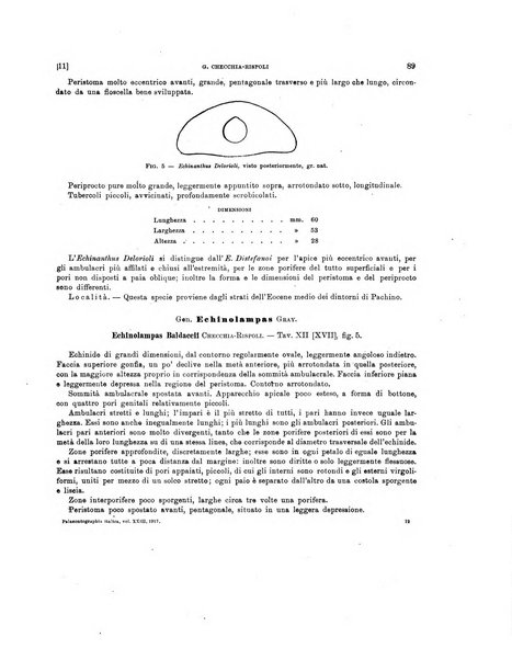 Palaeontographia Italica raccolta di monografie paleontologiche fondata da Mario Canavari nell'anno 1895