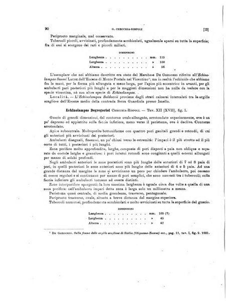 Palaeontographia Italica raccolta di monografie paleontologiche fondata da Mario Canavari nell'anno 1895