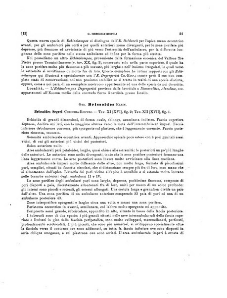 Palaeontographia Italica raccolta di monografie paleontologiche fondata da Mario Canavari nell'anno 1895