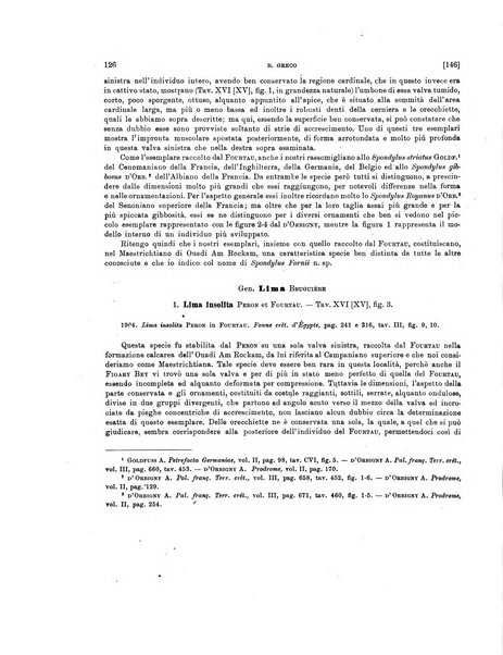 Palaeontographia Italica raccolta di monografie paleontologiche fondata da Mario Canavari nell'anno 1895