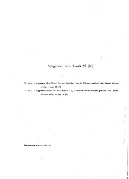 Palaeontographia Italica raccolta di monografie paleontologiche fondata da Mario Canavari nell'anno 1895