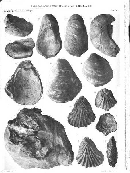 Palaeontographia Italica raccolta di monografie paleontologiche fondata da Mario Canavari nell'anno 1895