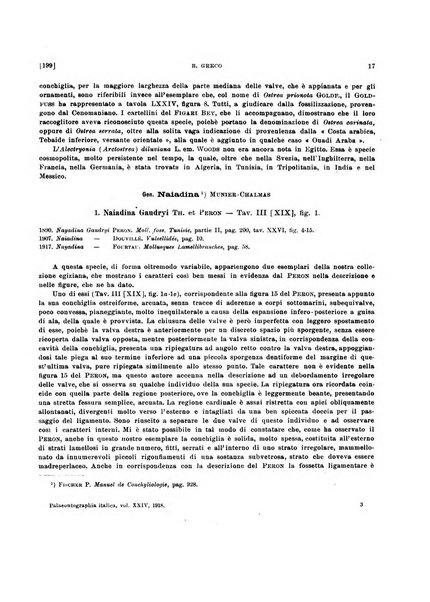 Palaeontographia Italica raccolta di monografie paleontologiche fondata da Mario Canavari nell'anno 1895