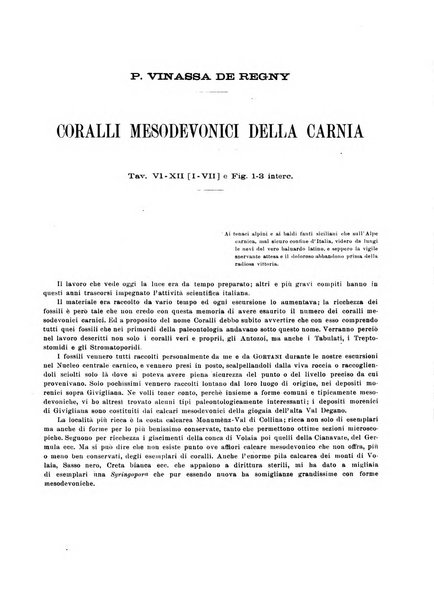 Palaeontographia Italica raccolta di monografie paleontologiche fondata da Mario Canavari nell'anno 1895