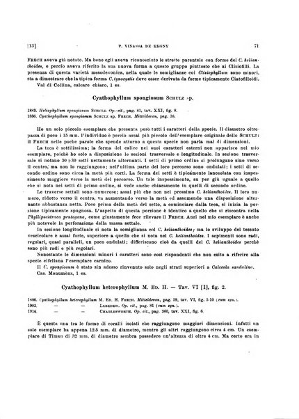 Palaeontographia Italica raccolta di monografie paleontologiche fondata da Mario Canavari nell'anno 1895