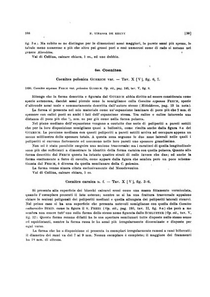 Palaeontographia Italica raccolta di monografie paleontologiche fondata da Mario Canavari nell'anno 1895