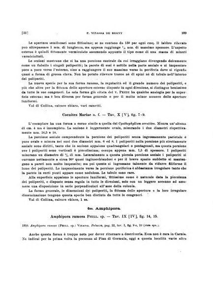 Palaeontographia Italica raccolta di monografie paleontologiche fondata da Mario Canavari nell'anno 1895