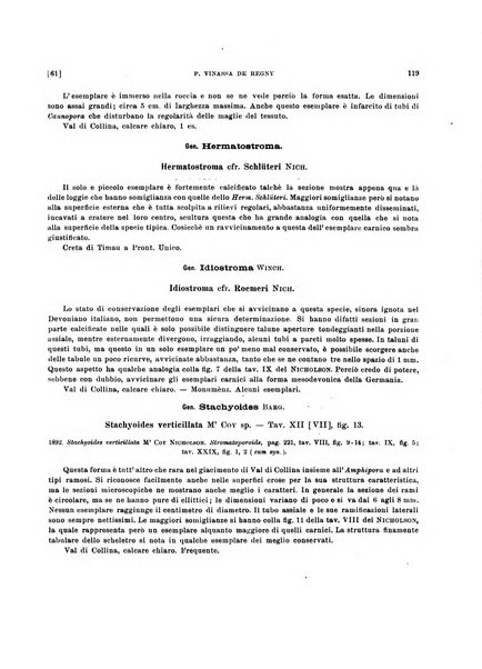 Palaeontographia Italica raccolta di monografie paleontologiche fondata da Mario Canavari nell'anno 1895