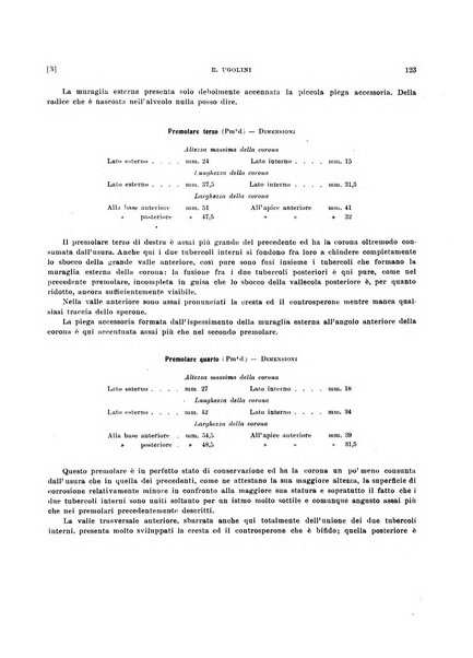 Palaeontographia Italica raccolta di monografie paleontologiche fondata da Mario Canavari nell'anno 1895