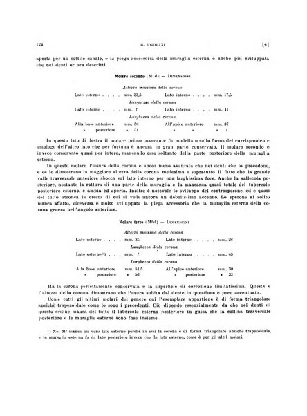 Palaeontographia Italica raccolta di monografie paleontologiche fondata da Mario Canavari nell'anno 1895