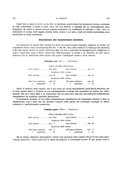 Palaeontographia Italica raccolta di monografie paleontologiche fondata da Mario Canavari nell'anno 1895