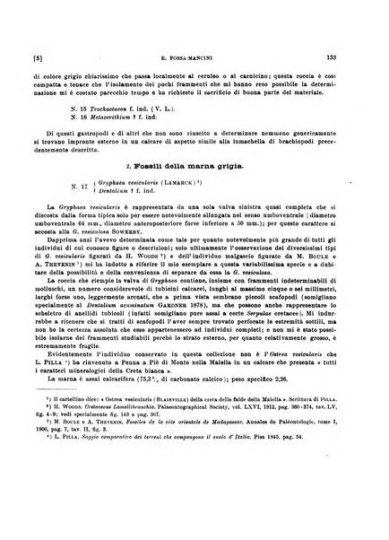 Palaeontographia Italica raccolta di monografie paleontologiche fondata da Mario Canavari nell'anno 1895