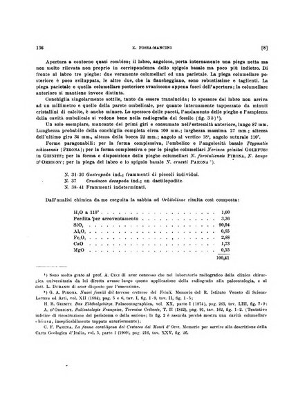 Palaeontographia Italica raccolta di monografie paleontologiche fondata da Mario Canavari nell'anno 1895