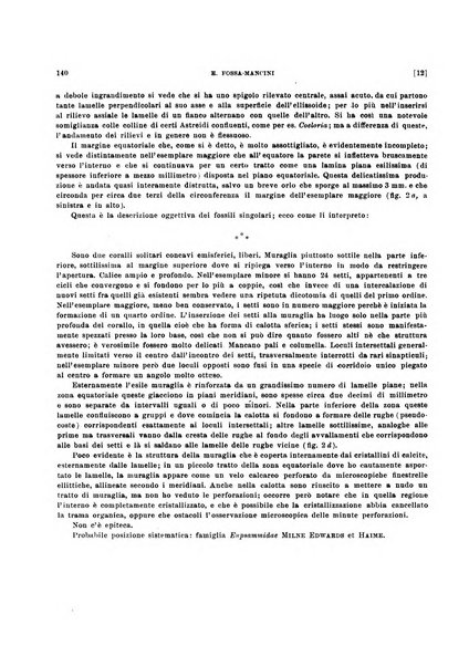 Palaeontographia Italica raccolta di monografie paleontologiche fondata da Mario Canavari nell'anno 1895