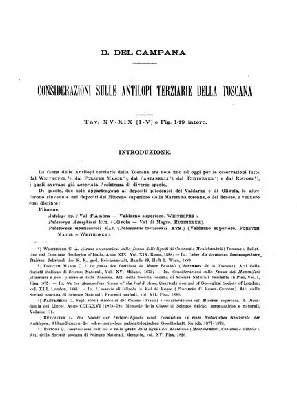 Palaeontographia Italica raccolta di monografie paleontologiche fondata da Mario Canavari nell'anno 1895