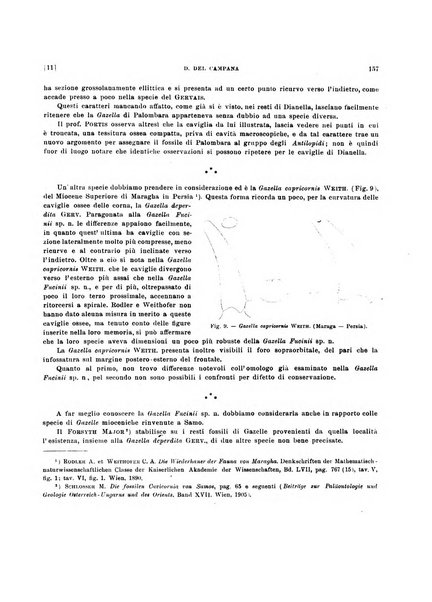 Palaeontographia Italica raccolta di monografie paleontologiche fondata da Mario Canavari nell'anno 1895