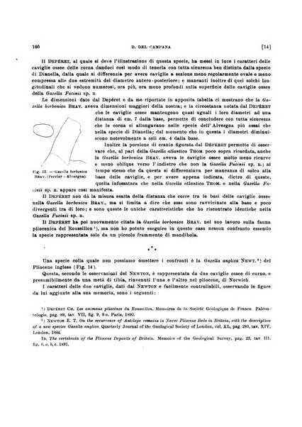 Palaeontographia Italica raccolta di monografie paleontologiche fondata da Mario Canavari nell'anno 1895