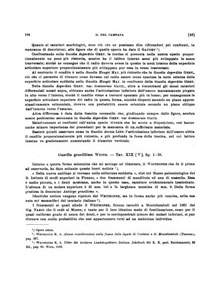 Palaeontographia Italica raccolta di monografie paleontologiche fondata da Mario Canavari nell'anno 1895