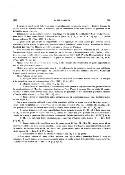 Palaeontographia Italica raccolta di monografie paleontologiche fondata da Mario Canavari nell'anno 1895