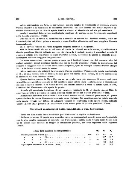 Palaeontographia Italica raccolta di monografie paleontologiche fondata da Mario Canavari nell'anno 1895