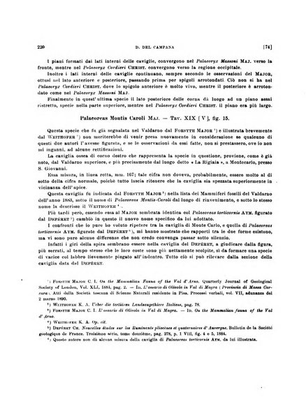 Palaeontographia Italica raccolta di monografie paleontologiche fondata da Mario Canavari nell'anno 1895