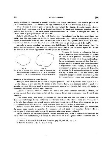 Palaeontographia Italica raccolta di monografie paleontologiche fondata da Mario Canavari nell'anno 1895