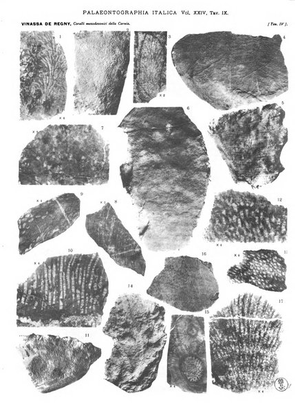 Palaeontographia Italica raccolta di monografie paleontologiche fondata da Mario Canavari nell'anno 1895