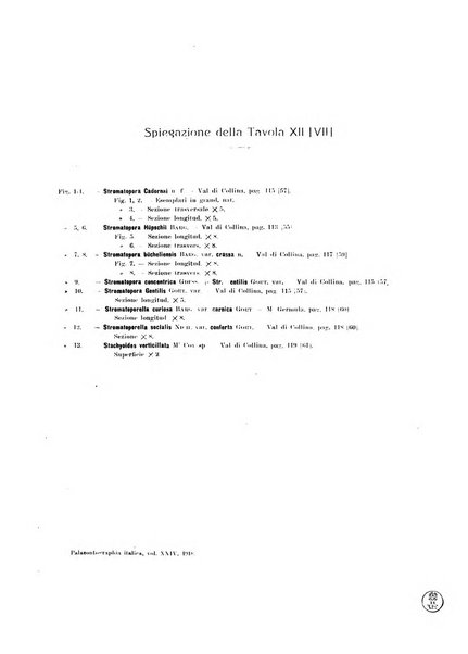 Palaeontographia Italica raccolta di monografie paleontologiche fondata da Mario Canavari nell'anno 1895