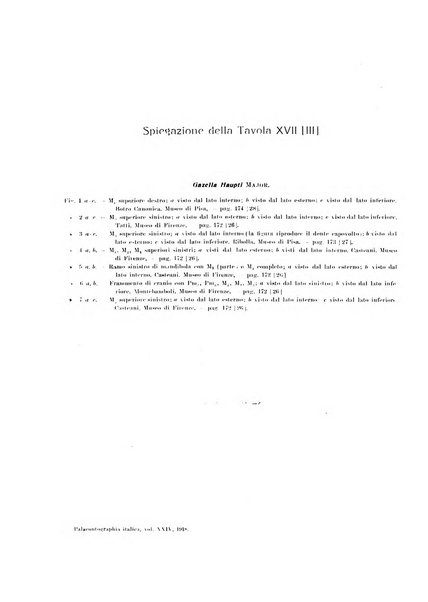 Palaeontographia Italica raccolta di monografie paleontologiche fondata da Mario Canavari nell'anno 1895