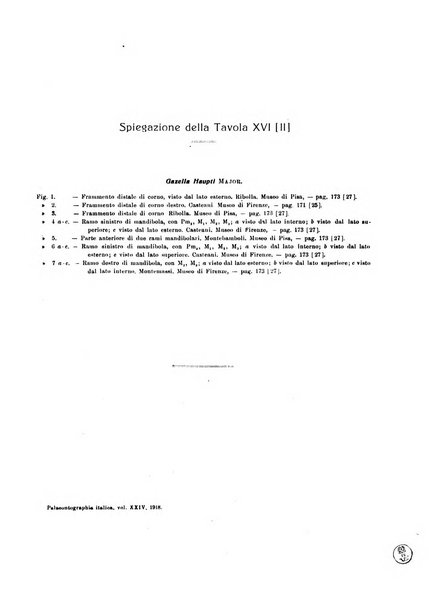 Palaeontographia Italica raccolta di monografie paleontologiche fondata da Mario Canavari nell'anno 1895