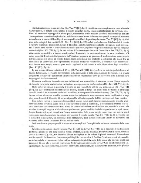 Palaeontographia Italica raccolta di monografie paleontologiche fondata da Mario Canavari nell'anno 1895