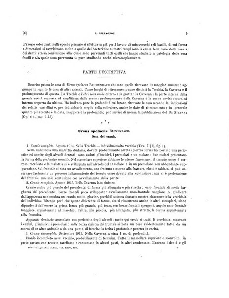 Palaeontographia Italica raccolta di monografie paleontologiche fondata da Mario Canavari nell'anno 1895