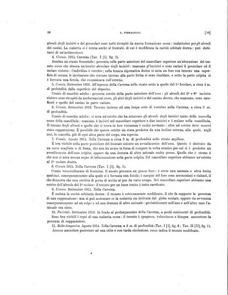 Palaeontographia Italica raccolta di monografie paleontologiche fondata da Mario Canavari nell'anno 1895